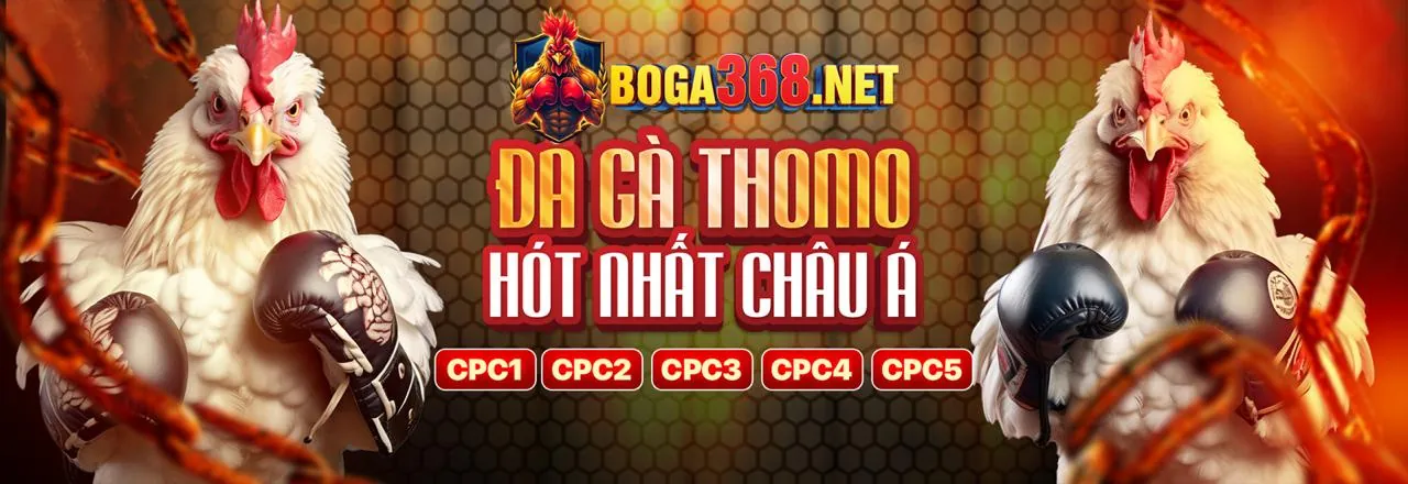 Cá cược thể thao 56win với tỷ lệ kèo hấp dẫn